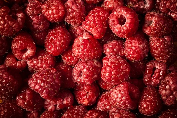 Comment les technologies de réalité mixte sont-elles appliquées dans l'éducation ?